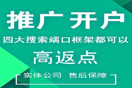 案例解析：SEM竞价策略优化技巧